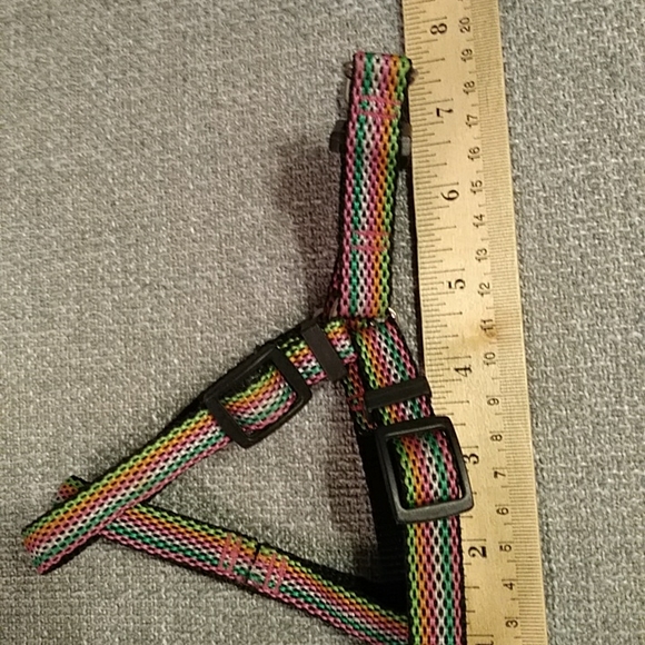 Final price!*Unused dog lot(S) - Picture 3 of 5